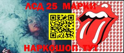 скорость Жуковский