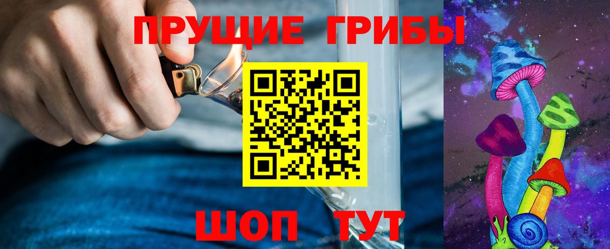 Галлюциногенные грибы Psilocybine cubensis Медногорск