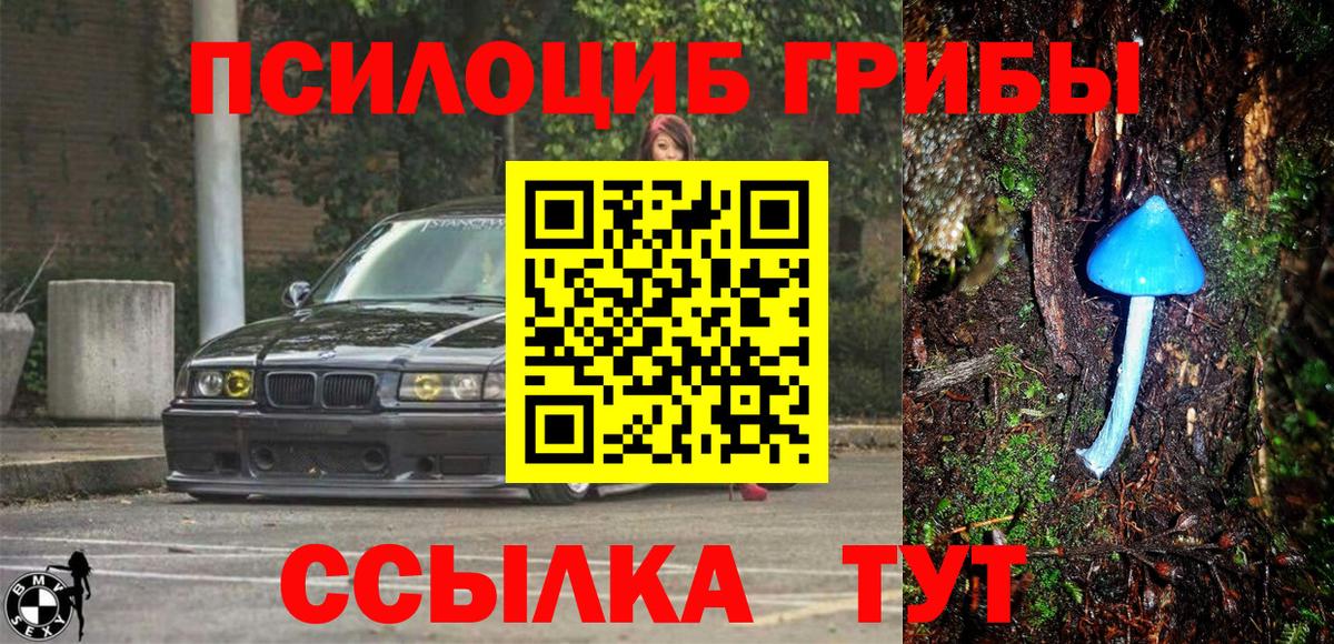 Медногорск  Галлюциногенные грибы прущие грибы  Псилоцибиновые грибы мицелий  Вход с VPN 